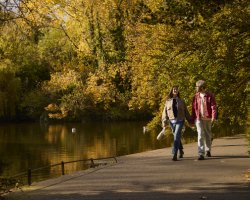 Room to Roam this Autumn Escape to comfort and style now with 15% Off Bed & Breakfast
